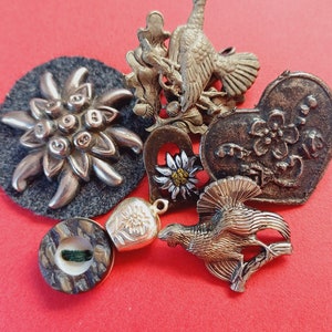 Op de afbeelding: Een verzameling van zeven zilveren en goudkleurige metalen spelden en knopen met traditionele Oostenrijkse en Duitse ontwerpen. De spelden omvatten een hartvormige speld met een bloemenontwerp, een speld met een vogel die op een tak zit, een speld met een gestileerde edelweissbloem en een speld met een gestileerde edelweissbloem op een grijze vilt achtergrond. De knopen omvatten een ronde knoop met een groene draad en een hartvormige knoop met een bloemenontwerp.