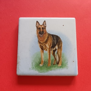 Può includere: Una piastrella di ceramica con un'immagine dipinta di un pastore tedesco in piedi su un campo erboso verde. Il cane è marrone e nero con un petto bianco e una macchia bianca sulla fronte. Lo sfondo è blu chiaro.
