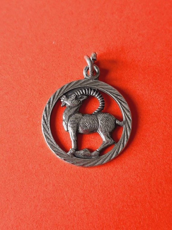 Capricorn charm store