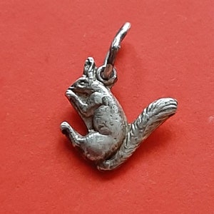 May include: A silver charm in the shape of a squirrel. The squirrel is sitting up on its hind legs with its tail curled around its body.