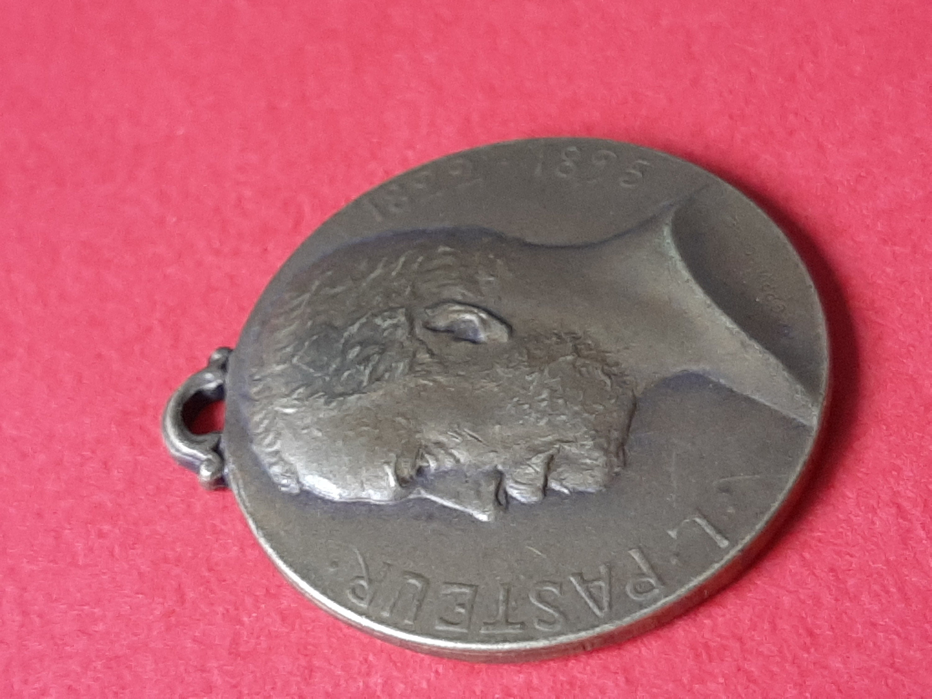 Plaque Médaille En Plomb Louis Pasteur - Fin XIXème - Belle état