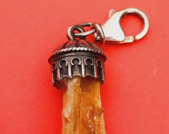 ヴィンテージ南バイエルン・トラハテンジュエリー、古いシャリヴァリ