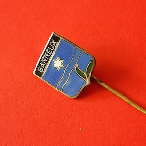 May include: A blue and green enamel pin with the word "Banneux" written vertically on the left side. A white star is in the center of the pin.