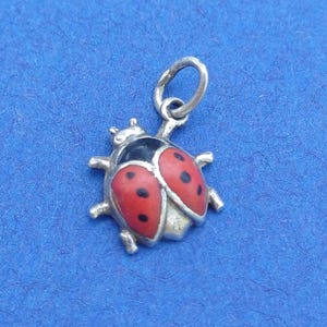 Puede incluir: Un dije de metal plateado con forma de mariquita. El insecto presenta una cabeza negra y dos alas de color rojo brillante, cada una decorada con tres puntos negros. Un pequeño anillo circular está sujeto en la parte superior para colgarlo.