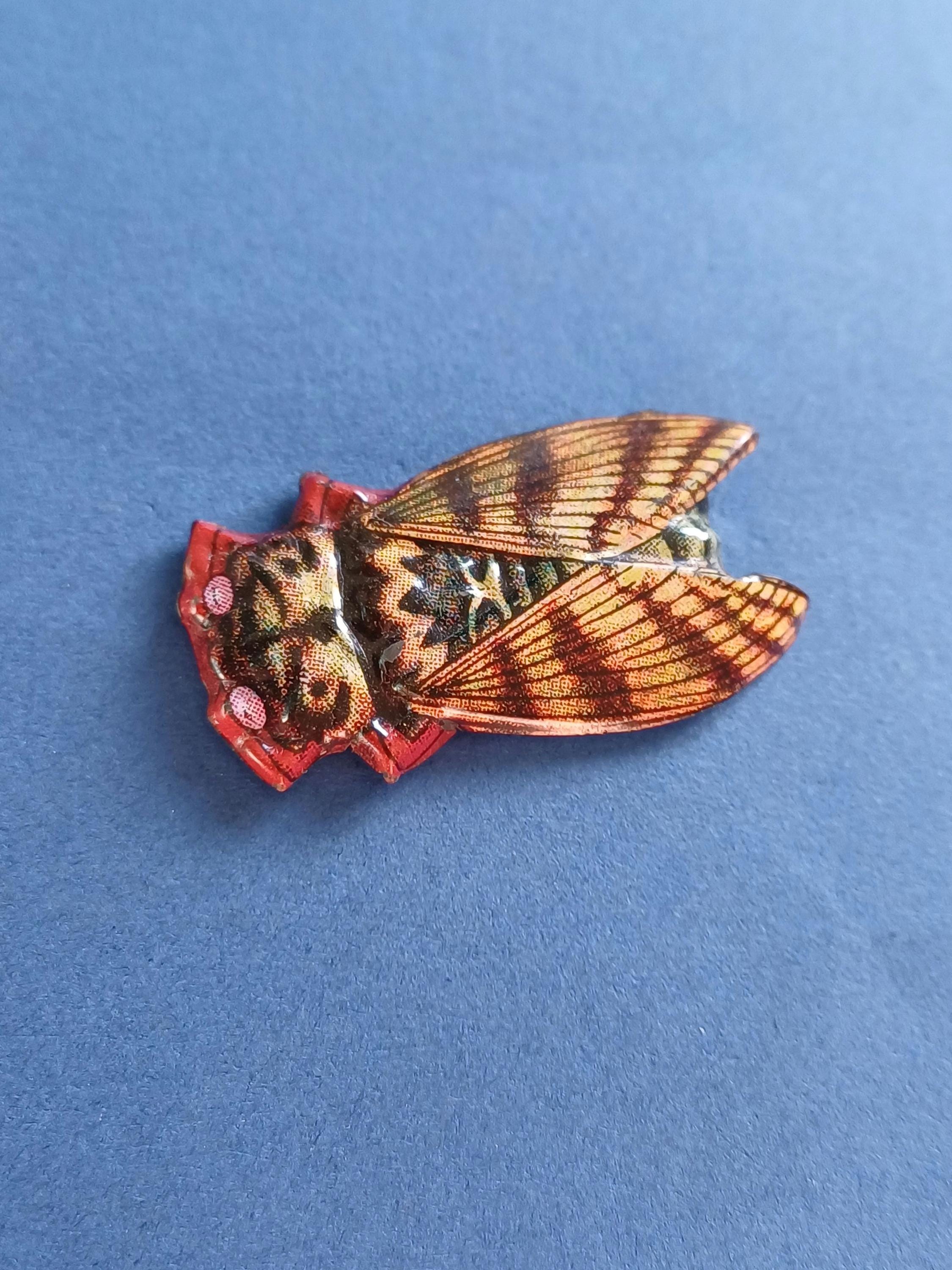 Broche Vintage Cigale En Celluloïd Années 1920-1950 - Bijou Rétro - Occasion
