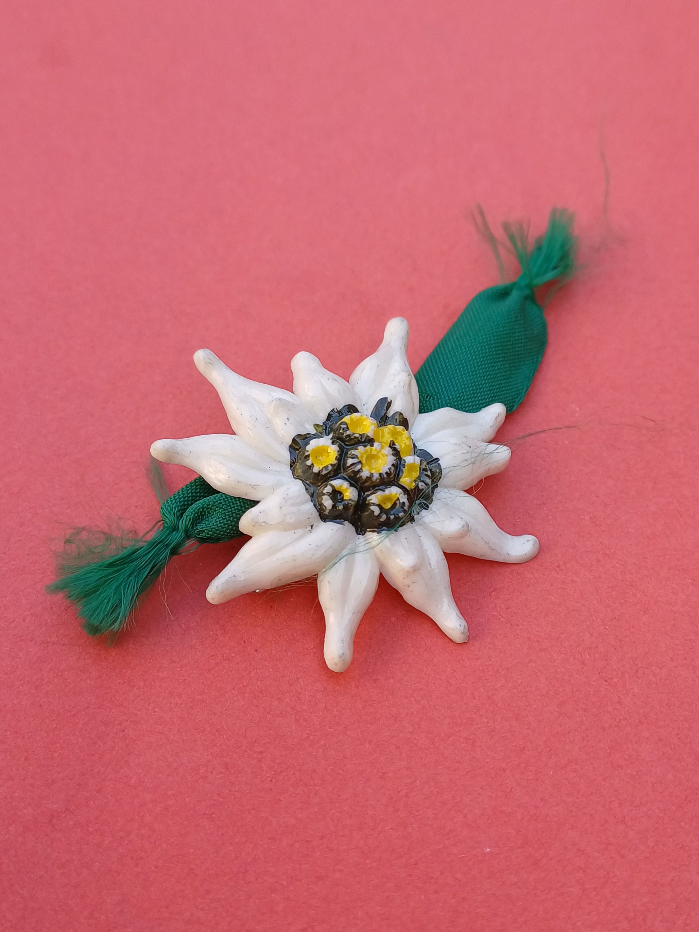 Vintage floral Austrian celluloid brooch Edelweiss flower Oktoberfest vintage celluloid souvenir Austria Oktoberfest