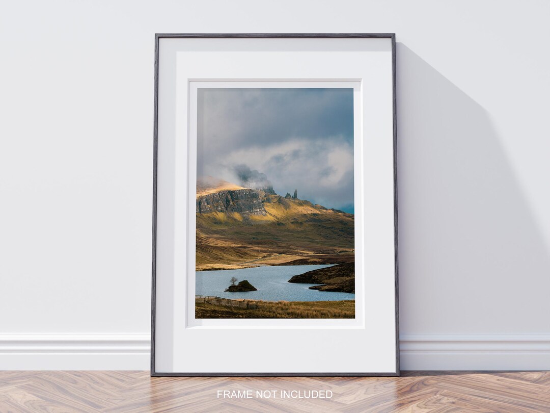 Scottish Highlands Woodland Framed Print by Whistlefish