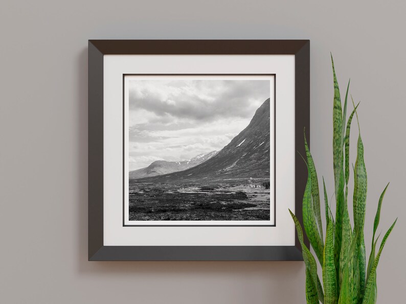 May include: Black and white framed print of a mountain landscape. The artwork features a valley with a river, mountains, and a cloudy sky. The frame is dark brown, and a snake plant is in the foreground.