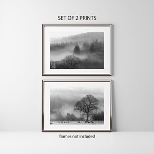 Può includere: Due stampe incorniciate in bianco e nero di paesaggi. La stampa superiore mostra una scena di foresta nebbiosa, mentre quella inferiore presenta un albero in un campo. Il testo "SET OF 2 PRINTS" è in alto e "frames not included" in basso.