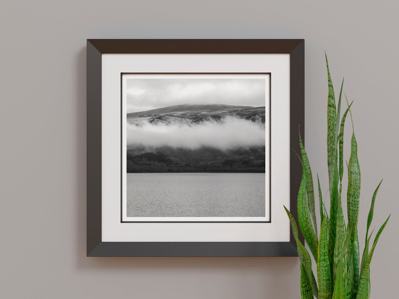 May include: Black and white framed print of a mountain landscape with low-lying clouds over a lake. The print is in a dark brown frame with a white mat. A green plant is to the right of the frame.