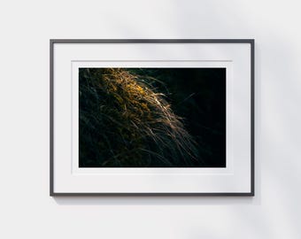 Fine Art Landscape Photography Print
