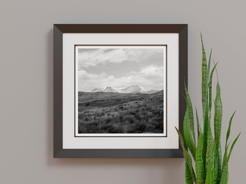 May include: Black and white framed print of a mountain landscape. The artwork features a view of rolling hills and mountains under a cloudy sky. The frame is dark brown, and a green plant is visible on the right.