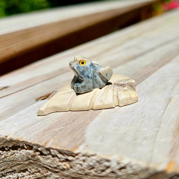Frog on Lily pad Small Carved Animal Spirit Agate Stone