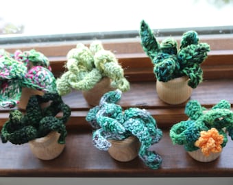 Crochet Potted Plant. Fake Plant in a Pot. Gift for Teacher. Dorm Decor. Hanging Potted Plant. Crocheted Succulent.  Plant Lady Decorations.