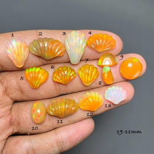 May include: A collection of thirteen loose opal gemstones in various shapes, including shells, a mushroom, and circles. The stones feature orange, yellow, and white hues with iridescent flashes. Each piece is numbered from 1 to 13, with 19-11mm text.