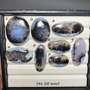 May include: Nine polished dendritic agate gemstones in an assortment of oval and oblong shapes. The stones feature a variety of colors, including white, black, and blue, with tree-like patterns. The text at the bottom reads (41-28 mm).