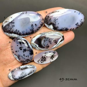 May include: Six polished dendritic agate gemstones in oval shapes, numbered 1 through 6. The stones have a translucent, pale blue base with black and white dendritic inclusions resembling trees. The size is approximately 49-31mm.
