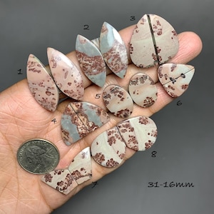 Puede incluir: Una colección de ocho piedras preciosas pulidas de diversas formas, incluyendo gotas, óvalos y triángulos. Las piedras presentan una mezcla de patrones rosa claro, gris y marrón. El texto "31-16mm" es visible. Se incluye una moneda de 25 centavos estadounidense como referencia de tamaño.