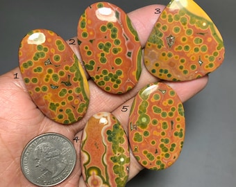 Super Orbicular Ocean Jasper Cabochon , Fine Quality Natural Gemstone For Jewelry Making (44-38mm) #D2500…