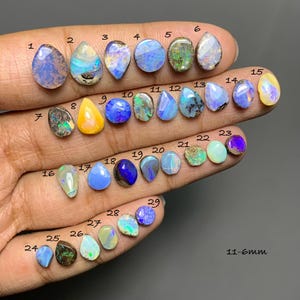May include: A collection of twenty-nine loose, polished opals in various shapes, including teardrop and round, displaying iridescent flashes of blue, green, orange, and purple. Each stone is numbered from 1 to 29, with a text label indicating 11-6mm.