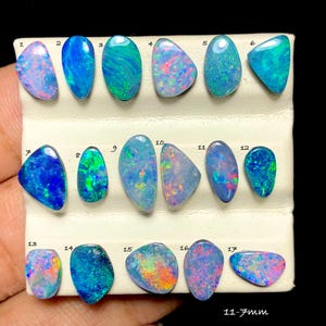 May include: Seventeen loose, polished opals arranged in three rows on a white display card. Each stone features unique iridescent flashes of blue, green, pink, and orange. The stones are numbered 1 through 17, with a size range of 11-7mm.
