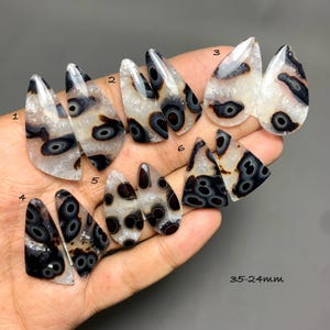 Puede incluir: Una colección de seis pares de cabujones de ágata pulida y translúcida con patrones distintivos en forma de ojo de color negro y marrón. Cada par está numerado del 1 al 6, con una etiqueta que indica un tamaño de 35-24 mm para las piedras.