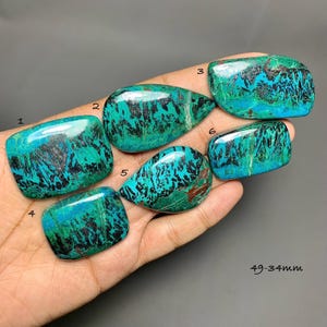 May include: Six polished, vibrant teal and black chrysocolla gemstones of varying shapes, labeled with numbers 1 through 6. The stones feature intricate, dark, dendritic patterns against a bright blue-green background. Text indicates 49-34mm.