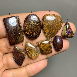 May include: Eight polished boulder opals of various shapes and sizes, numbered one through eight. Each stone displays a dark brown matrix with iridescent flashes of blue, green, and orange. The stones are arranged together on a flat surface.