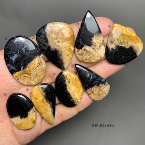May include: A collection of eight polished gemstones in various shapes, featuring a mix of black, tan, and cream colors. The gemstones range in size from 31mm to 38mm. The stones have unique patterns and textures.