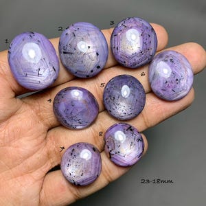 Könnte beinhalten: Acht polierte, ovale und runde lavendelfarbene Sternsaphir-Cabochons mit schwarzen Einschlüssen, nummeriert von eins bis acht, mit einer Größe von 23 bis 18 mm. Jeder Edelstein zeigt bei Lichtreflexion einen deutlichen sechsstrahligen Sterneffekt.