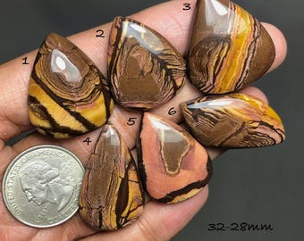 Cabujón de jaspe pictórico australiano, gema natural de diseño para la fabricación de joyas (32-28 mm) #D2631….