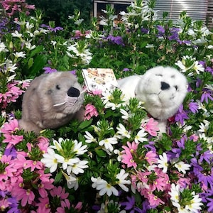2 mooie pluche zeehonden/Nature Planet/Leosco/ Dowman Imports/jaren 90