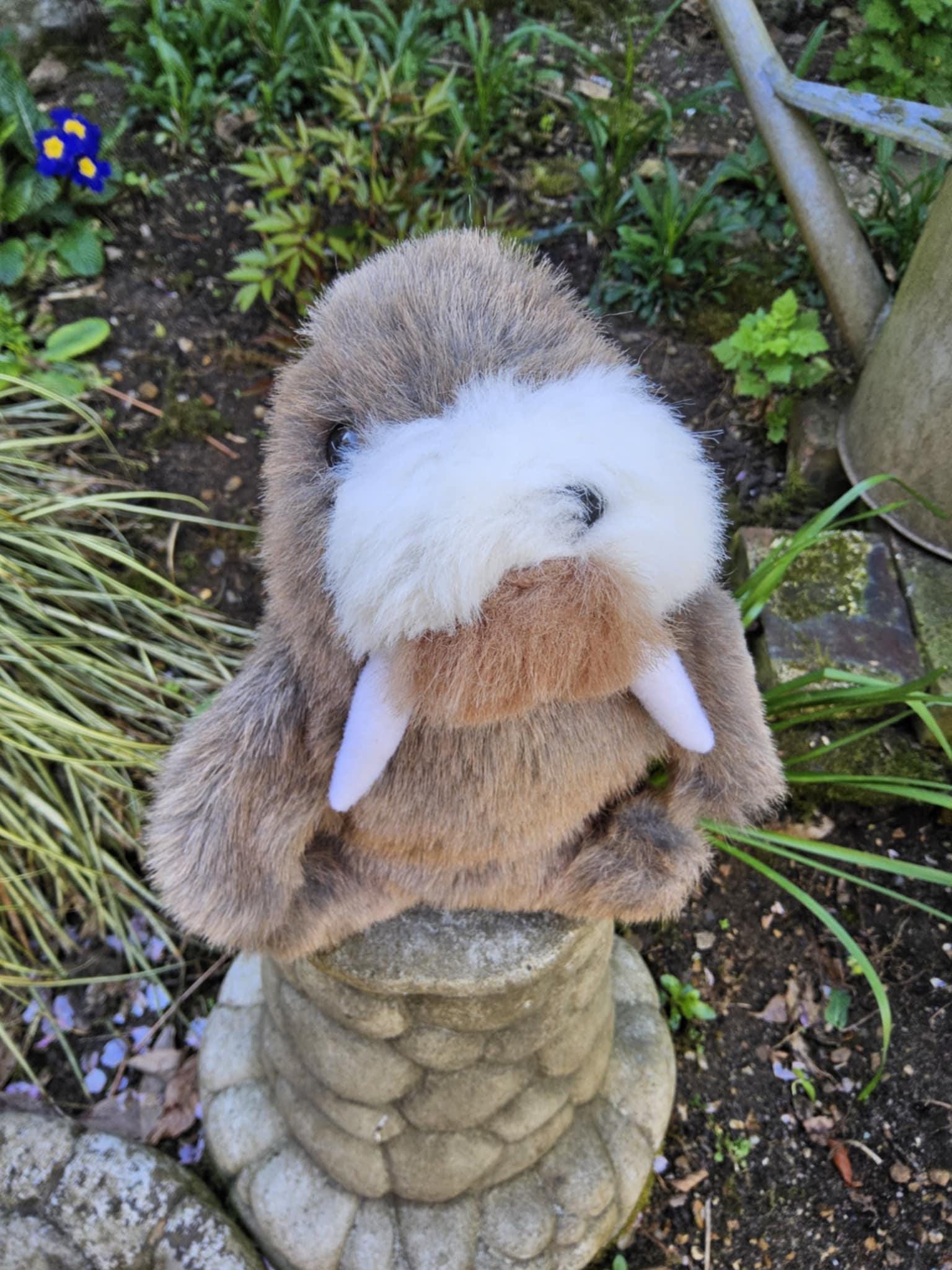 Grove Plush Walrus Soft Toy/80s/gc/c16 - Etsy