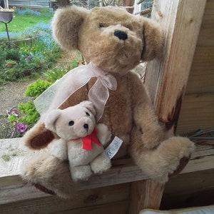 Può includere: Due orsacchiotti di peluche, uno marrone e uno crema, seduti su una superficie di legno. L'orso marrone indossa un nastro rosa intorno al collo. L'orso crema è più piccolo e indossa un nastro rosso intorno al collo.