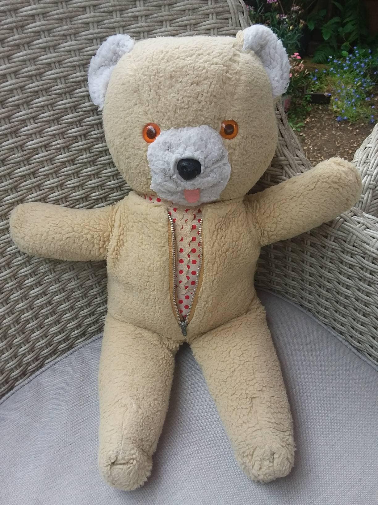 1970 tebro teddy