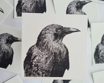 Hand drawn Crow Sticker, Witchy Sticker, Crow Sticker, Sticker, Stickers, Goth Sticker, Bird Sticker, Black Sticker, Witch Sticker