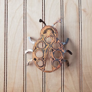 May include: A metal ladybug cutout with a rusty brown finish and black accents. The ladybug has a detailed design with a circle pattern on its wings.