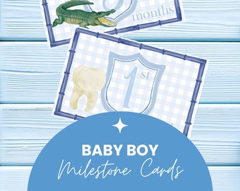 Baby Boy Milestone Cards