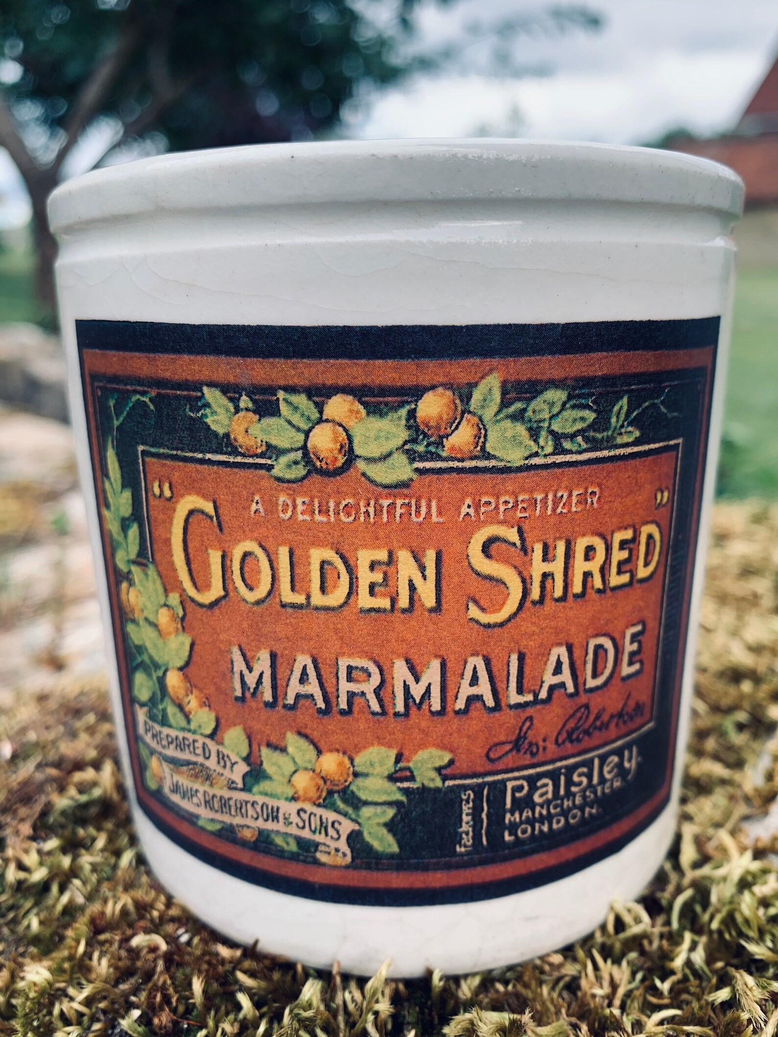 Vintage Golden Shred Robertsons Paisley Marmalade Pot Jar Etsy