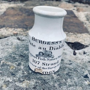 Zeer zeldzame Burgess's Paté Au Diable-vissauspot