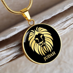 Löwe von Jena Anhänger israeliten Schmuck Gold Silber Charm