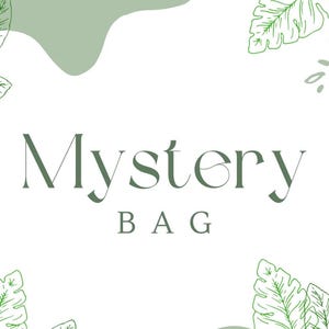 Mystery TShirt Bag-Short Sleeve