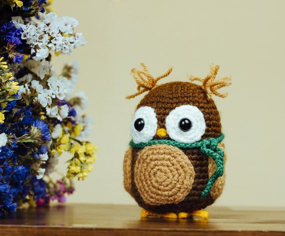 Kit de crochet débutant OWL, kit amigurumi de démarrage facile, kit  d'apprentissage du crochet, faites votre propre kit de bricolage - Etsy  France