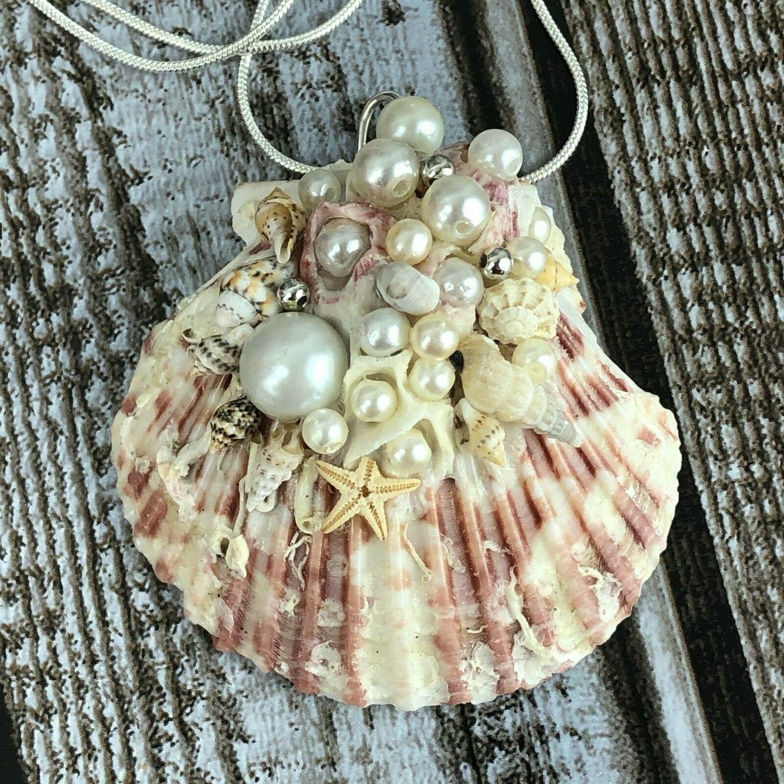 St Augustine Clam Shell Barnacles Pearl Starfish Handmade Etsy