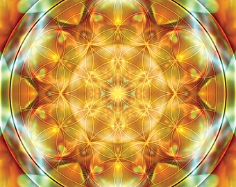 Flower of Life Mandala 2 Printable ArtWall ArtInstant | Etsy