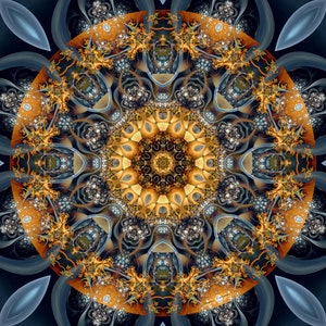 Mandalas of Unity 11