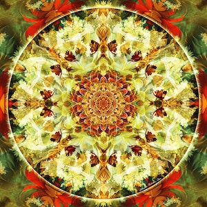 Mandalas from the Depth of Love 9,Printable Art,Wall Art,Instant Download,Print,Zen,Boho,Meditation,Mandalas,Downloadable Mandala,Abstract