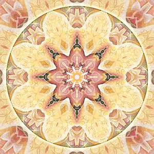Mandalas for Times of Transition 1, Printable Art,Wall Art,Instant Download,Print,Zen,Boho,Meditation,Mandalas,Downloadable Art,Geometric