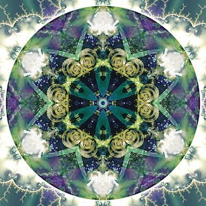 Mandala of Forgiveness and Release 20, Printable Art,Wall Art,Instant Download,Print,Zen,Boho,Meditation,Mandalas,Downloadable Art,Geometric