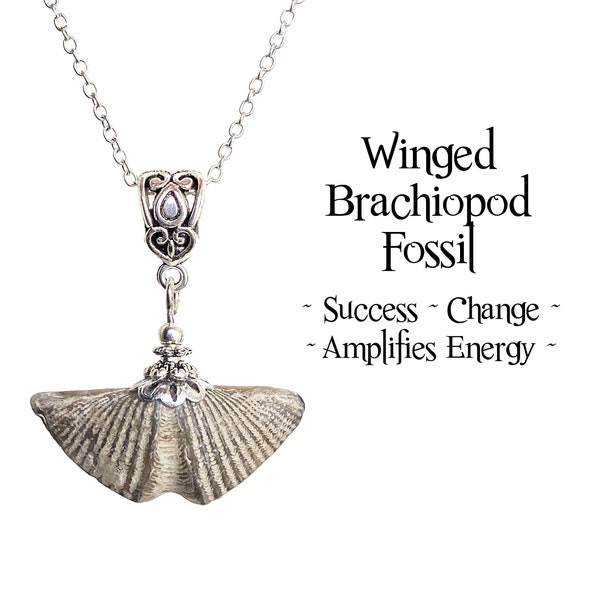 Fossil Jewelry - Etsy